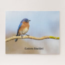 Search for bluebird puzzles Birds