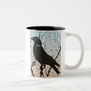 Search for jackdaws Bird