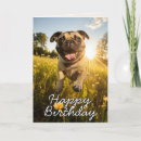 Search for pug birthday cards From the dog
