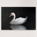 Recherche de cygnes puzzles Blanc