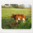 Search for feed mousepads Animals