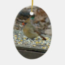 Search for red cardinal bird ornaments Animal