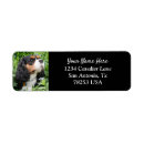 Search for cavalier king charles return address labels Pet