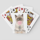 Recherche de princesse jeux de cartes Mignon