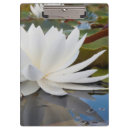 Search for environment clipboards Ie