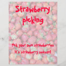Search for strawberry flyers Fruit