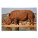 Recherche de boue art Animal