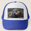 Search for blue otter hats Animal