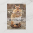 Recherche de pelucheux cartes visite Nature