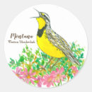 Search for state bird stickers Songbird