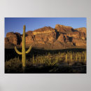 Search for pipe organs posters Landscape