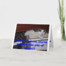 Search for sarcastic congratulations cards Cute
