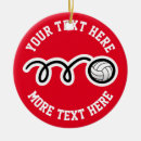 Search for beach ball ornaments Sports