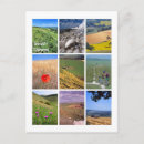 Recherche de sept soeurs posters Sussex