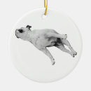 Search for branch ornaments Holiday keepsake
