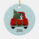 Search for collie ornaments Xmas