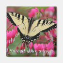 Recherche de ornithologie magnets Oiseaux et fleurs