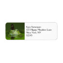 Search for amphibian return address labels Cute