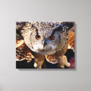 Recherche de ailes impressions sur toile Animaux