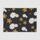 Search for daisies tissue paper White