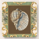 Search for sea shell coasters Nautical