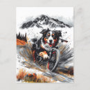 Search for mountain dog postcards Pet lover