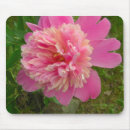 Search for peonies mousepads Nature