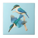 Search for kingfisher bird tiles Nature