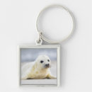 Search for baby seal keychains Cute