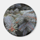Search for fir magnets Tree