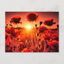 Search for mohn postcards Red