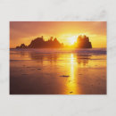 Search for point postcards Silhouette