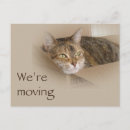 Search for moving boxes invitations Cat