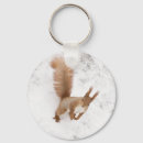 Search for squirrel keychains Pet