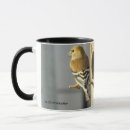 Recherche de finition tasses Jaune