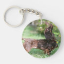 Search for dachshund long haired keychains Chocolate and tan