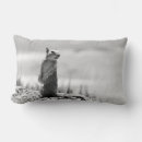 Search for black squirrel pillows Cute