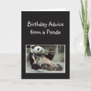 Search for cute panda birthday cards Funny