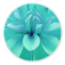 Recherche de vert en pastel boutons et poignées de porte Turquoise