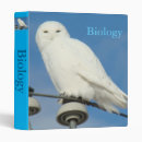 Recherche de hibou bureau fournitures Rapaces