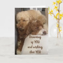 Search for across the miles birthday cards Dog