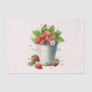 Search for strawberry tissue paper Strawberries