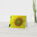 Search for spirals cards Summer