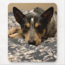Search for heeler mousepads Dog