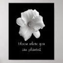 Recherche de motivation posters Devis