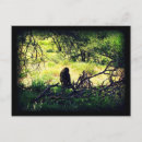 Search for baboon postcards Wild