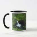 Recherche de sch tasses Ruisseau