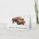 Search for wild christmas cards Snow