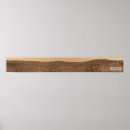 Search for mars panorama posters Rover