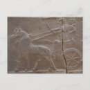 Recherche de gladiateurs cartes postales Colisée